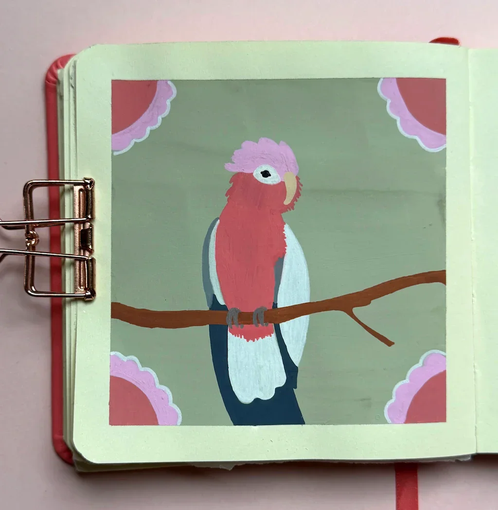 Close up of the Galah